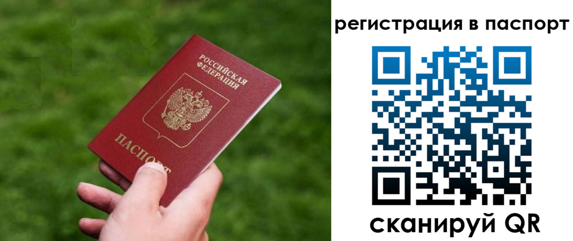 пропишу в квартире в Городце